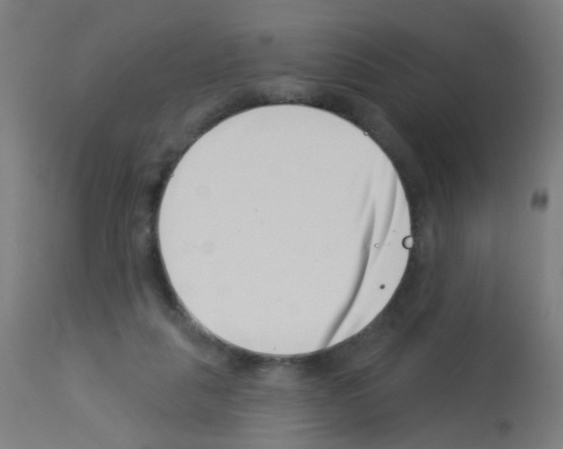 X0000113000259200910081205