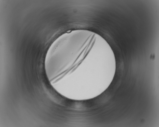 X0000113000264200910081205