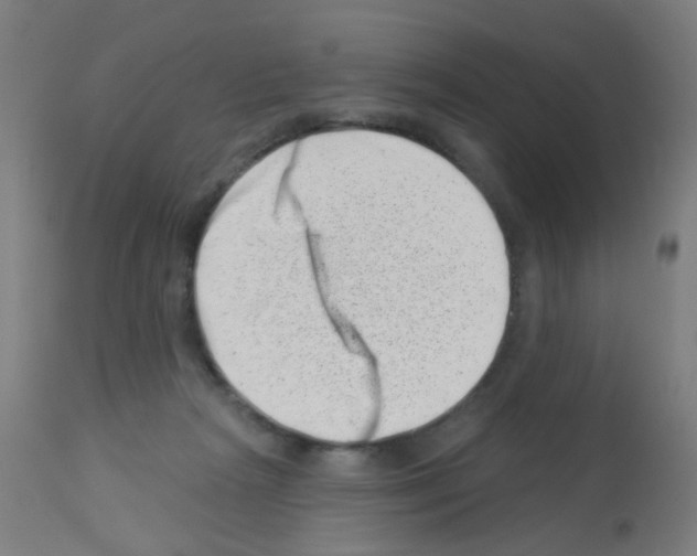 X0000113000265200910081205