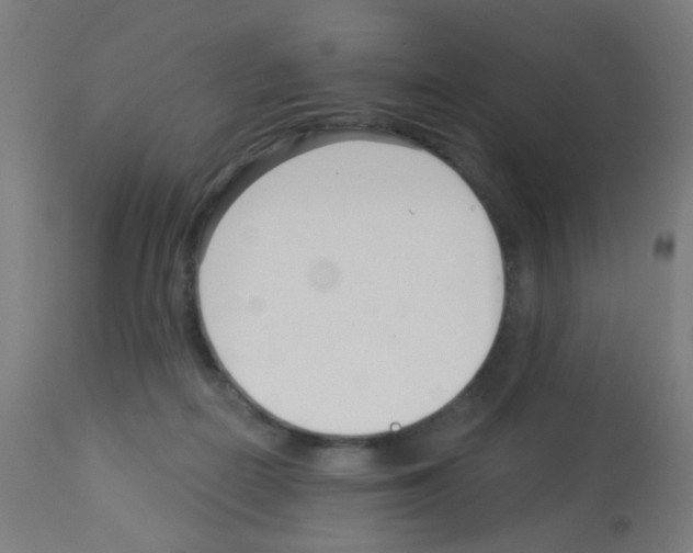 X0000113000266200910081205