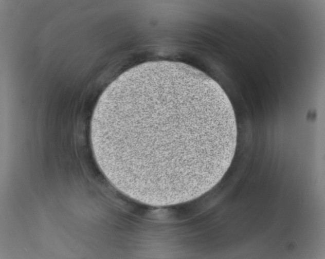 X0000113000269200910081206