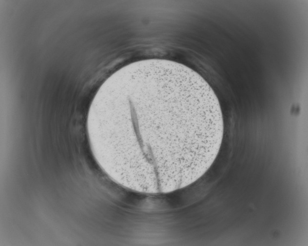 X0000113000270200910081206