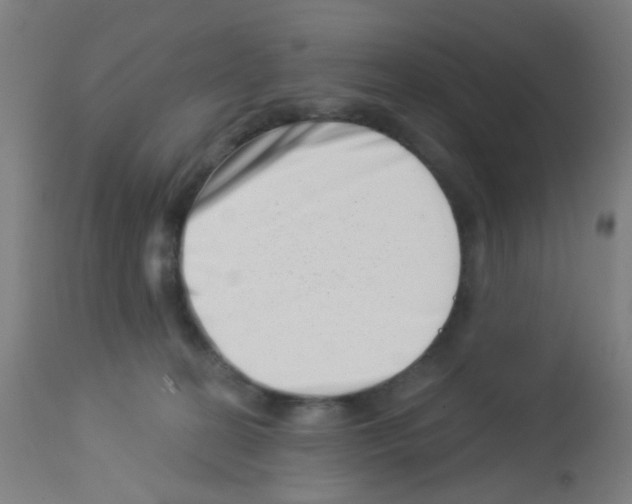 X0000113000274200910081206