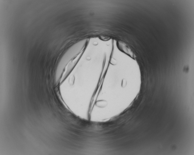 X0000113000276200910081206