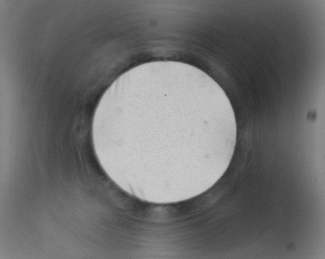 X0000113000277200910081206