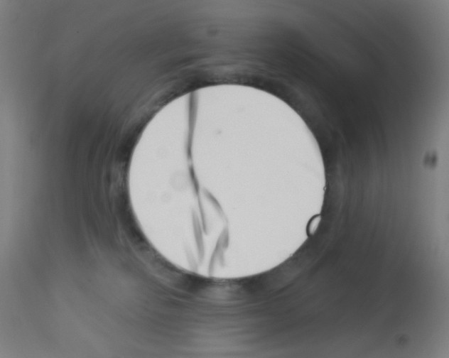 X0000113000278200910081206