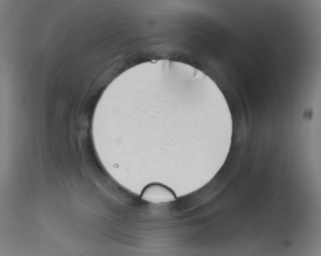 X0000113000279200910081206