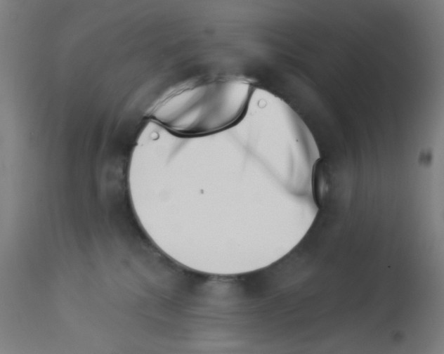 X0000113000280200910081206