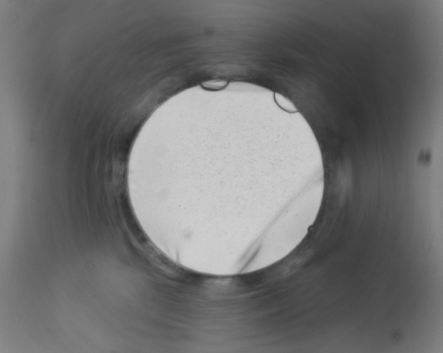 X0000113000281200910081206