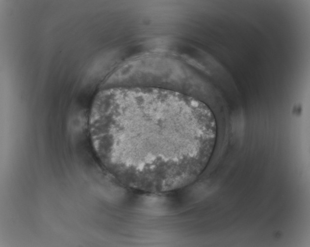 X0000113000284200910081206