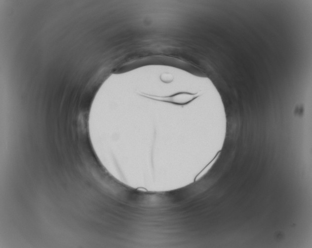 X0000113000286200910081206