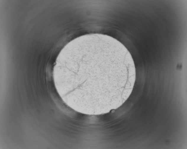 X0000113000287200910081206