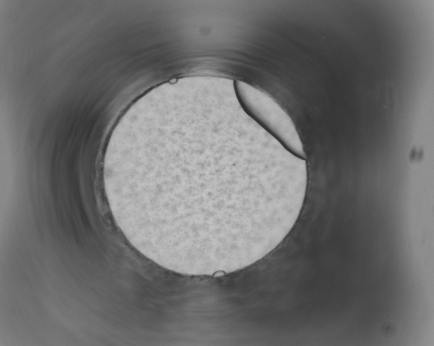 X0000113000289200910081205