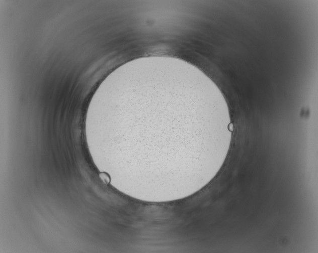 X0000113000290200910081205