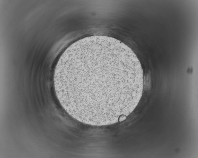 X0000113000291200910081205