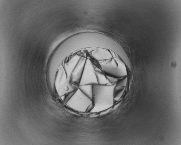 X0000113000292200910081205