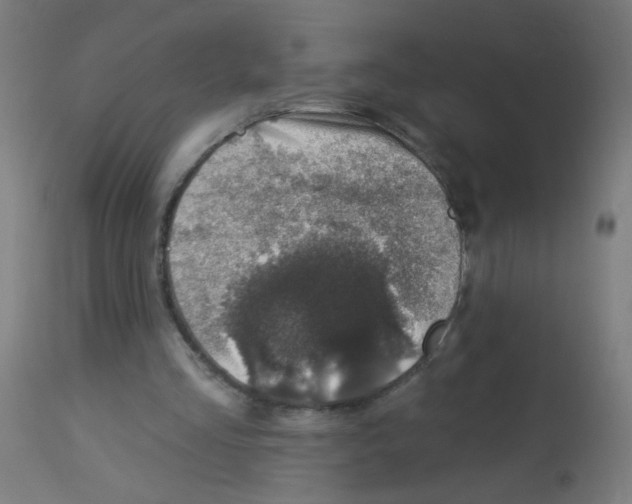 X0000113000293200910081205