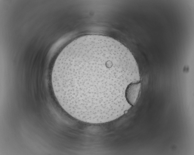 X0000113000294200910081205