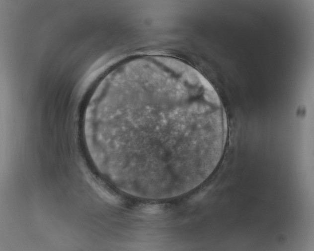 X0000113000295200910081205