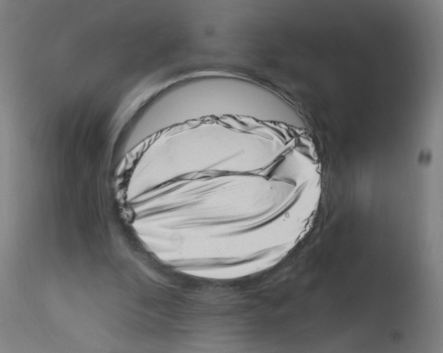 X0000113000296200910081205