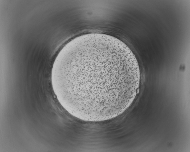 X0000113000297200910081205