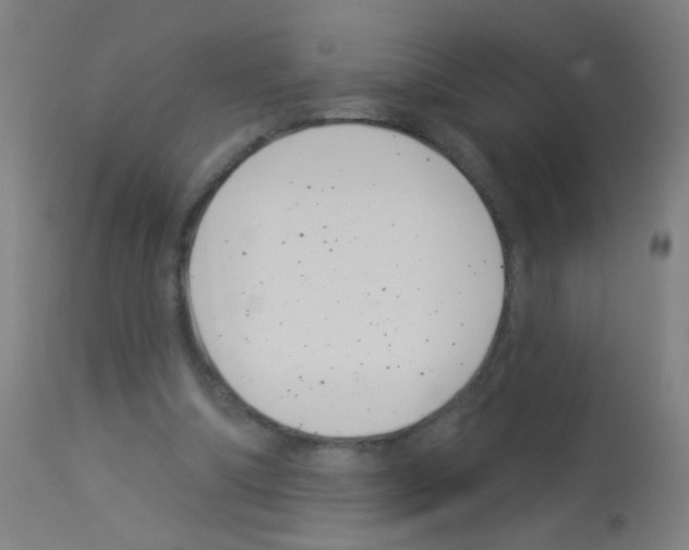 X0000113000298200910081205