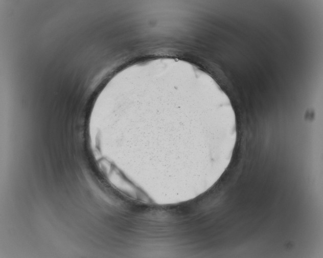 X0000113000299200910081205