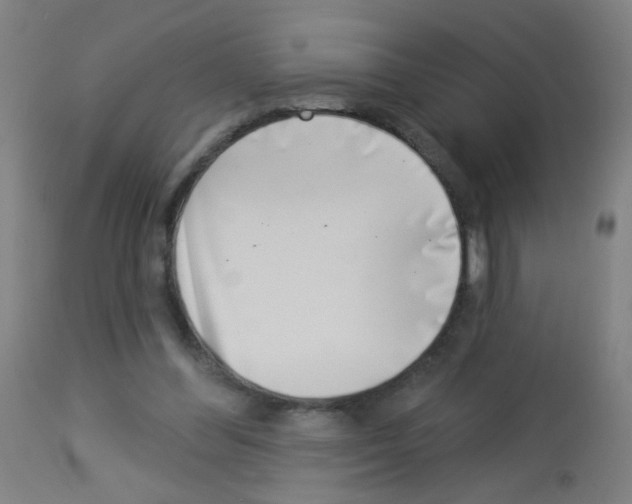 X0000113000300200910081205