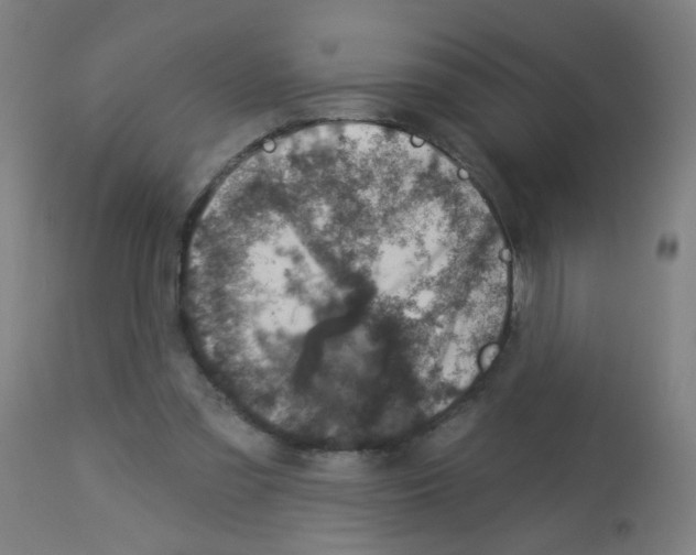 X0000113000301200910081205