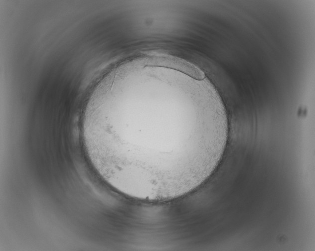 X0000113000302200910081205