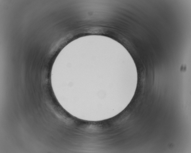 X0000113000303200910081205