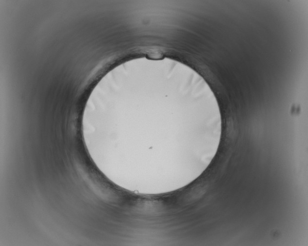 X0000113000304200910081205