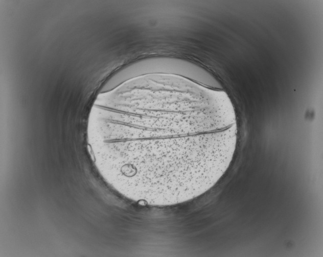 X0000113000305200910081205