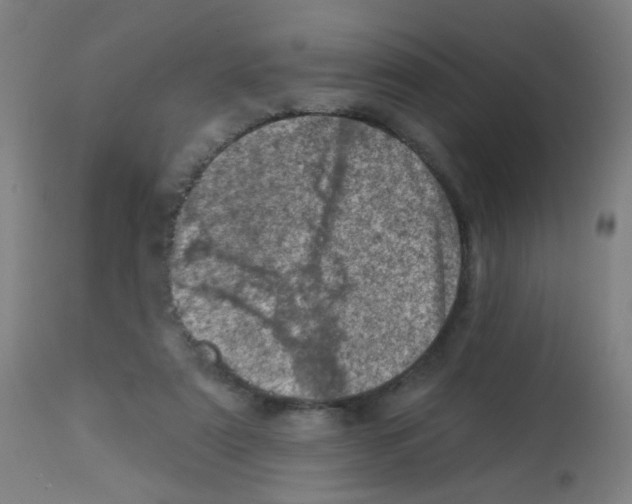 X0000113000307200910081205