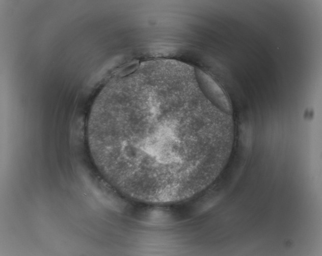 X0000113000308200910081205