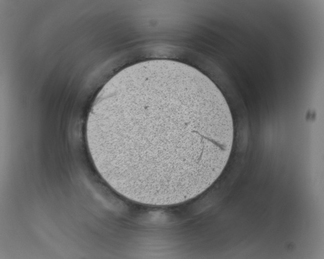 X0000113000310200910081205