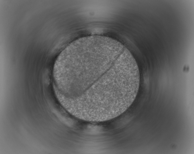 X0000113000311200910081205