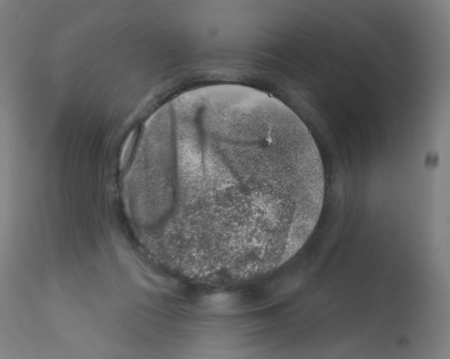 X0000113000312200910081205