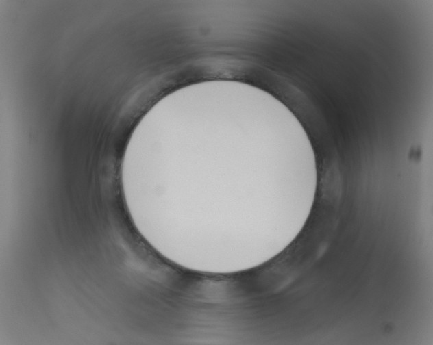 X0000113000314200910081205