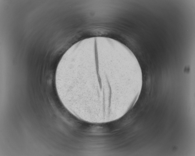 X0000113000315200910081205