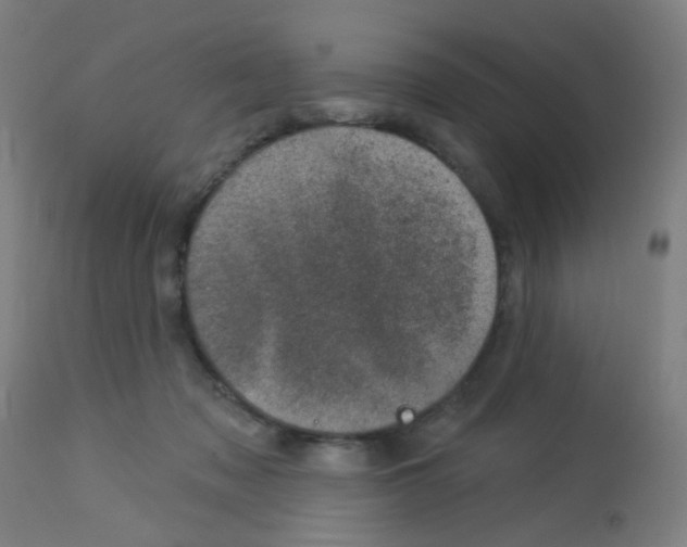 X0000113000317200910081204