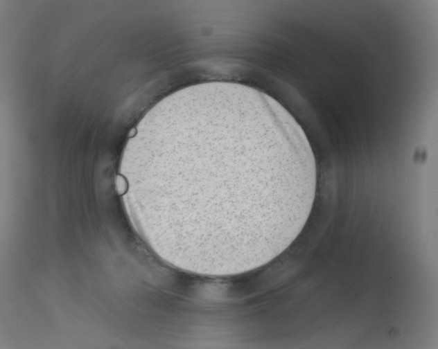 X0000113000318200910081204