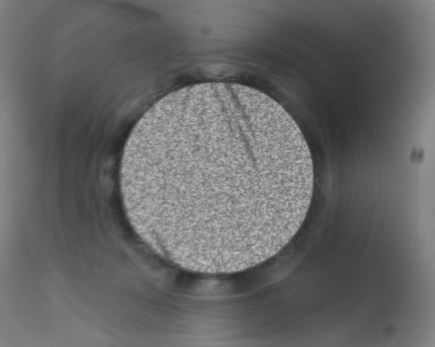 X0000113000319200910081204