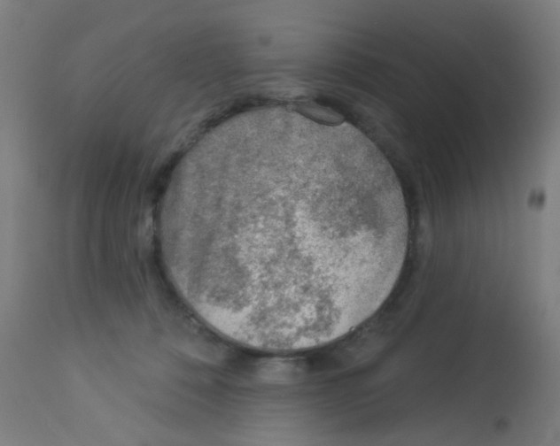 X0000113000320200910081204