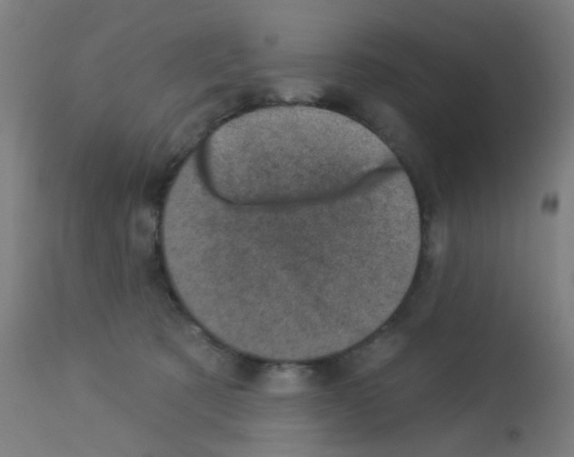 X0000113000321200910081204