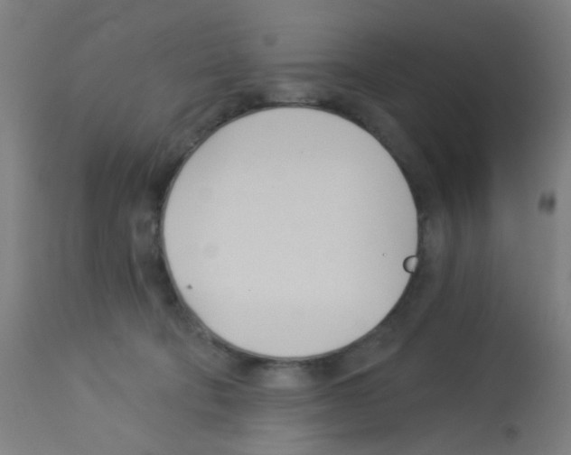 X0000113000322200910081204