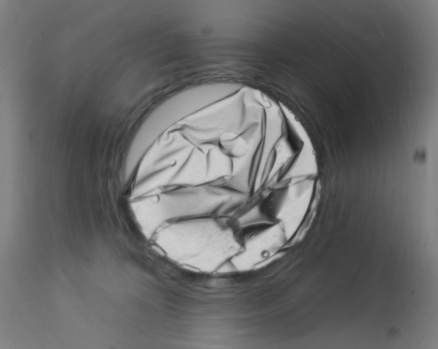 X0000113000324200910081204