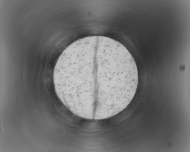 X0000113000325200910081204