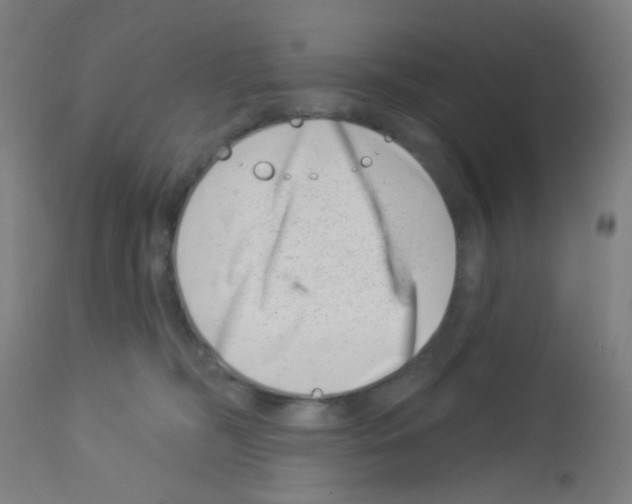 X0000113000326200910081204