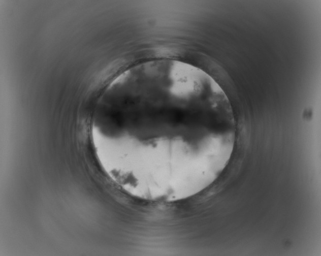 X0000113000329200910081204